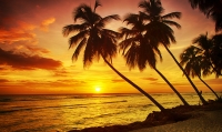 Barbados-beach stay