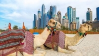 Dubai i Abu Dhabi