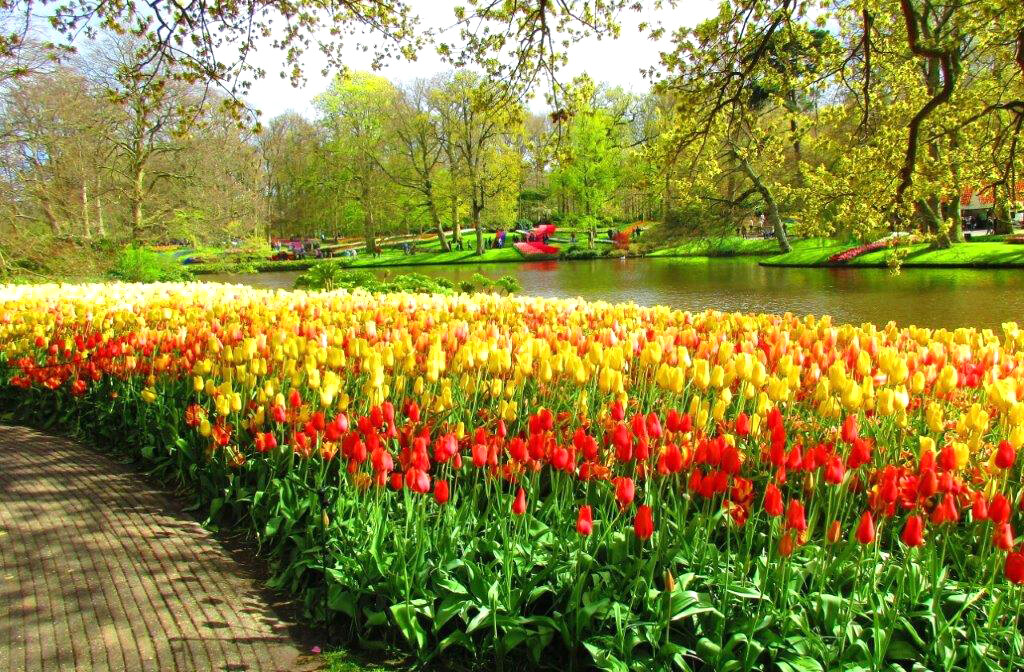 Amsterdam i Kaukenhof